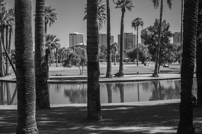 Phoenix